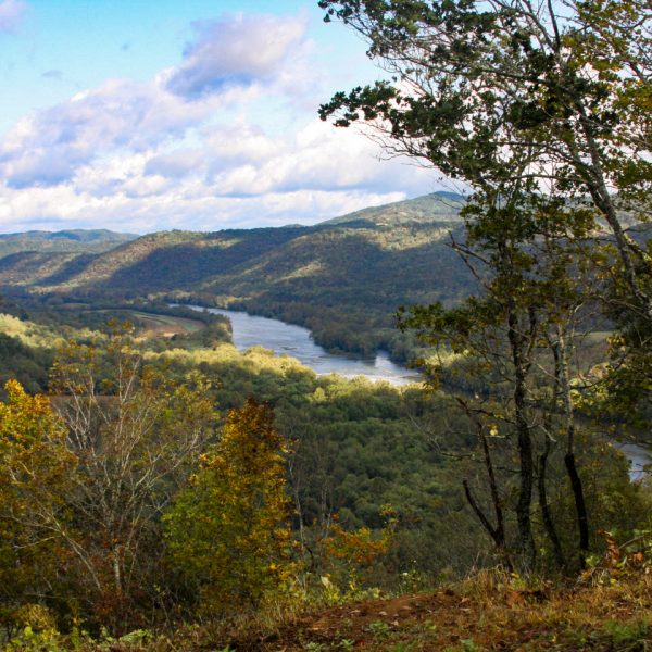 Top of IC Area Mountain 9-27-09 (9)